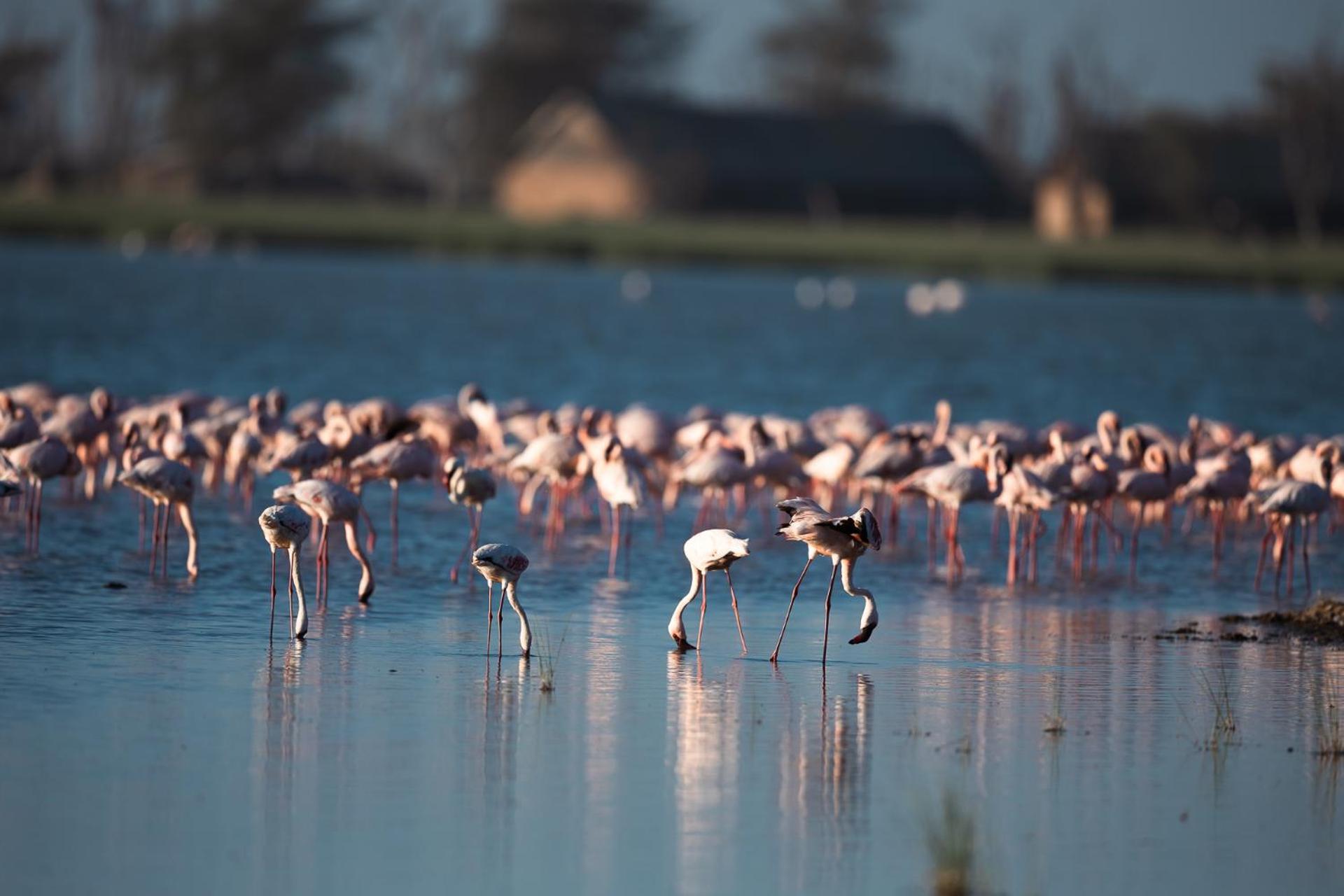 Amboseli Glass House Oloitokitok Экстерьер фото