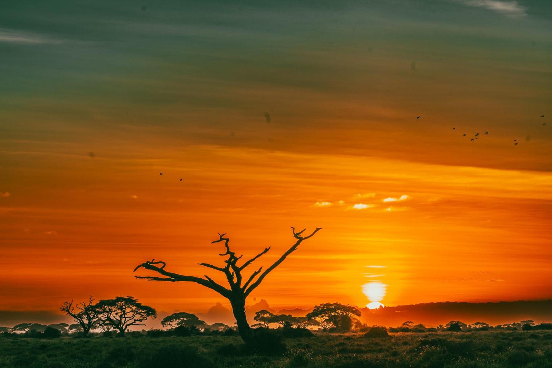 Amboseli Glass House Oloitokitok Экстерьер фото