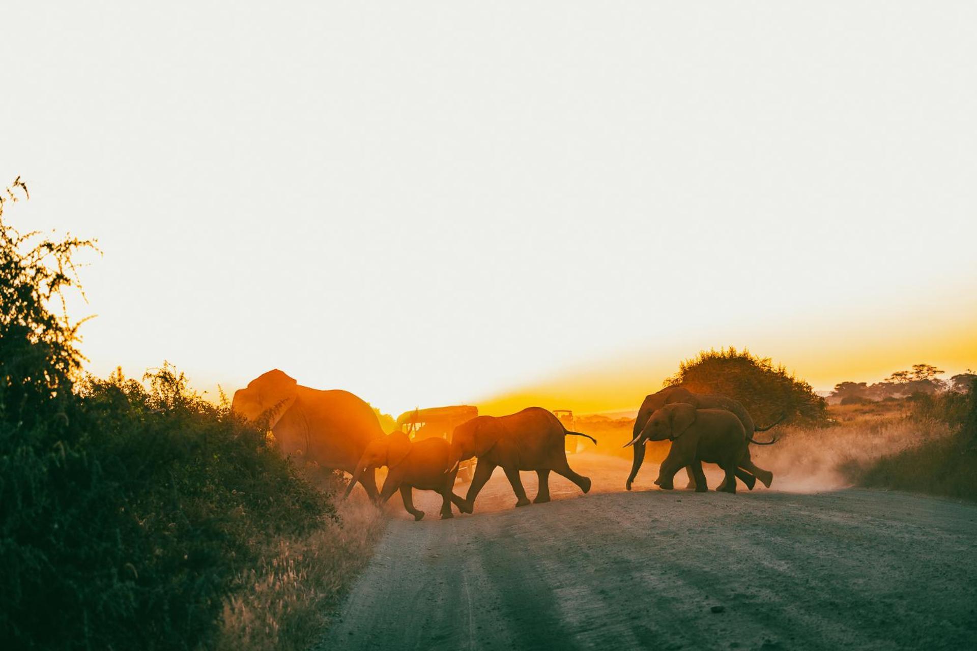 Amboseli Glass House Oloitokitok Экстерьер фото