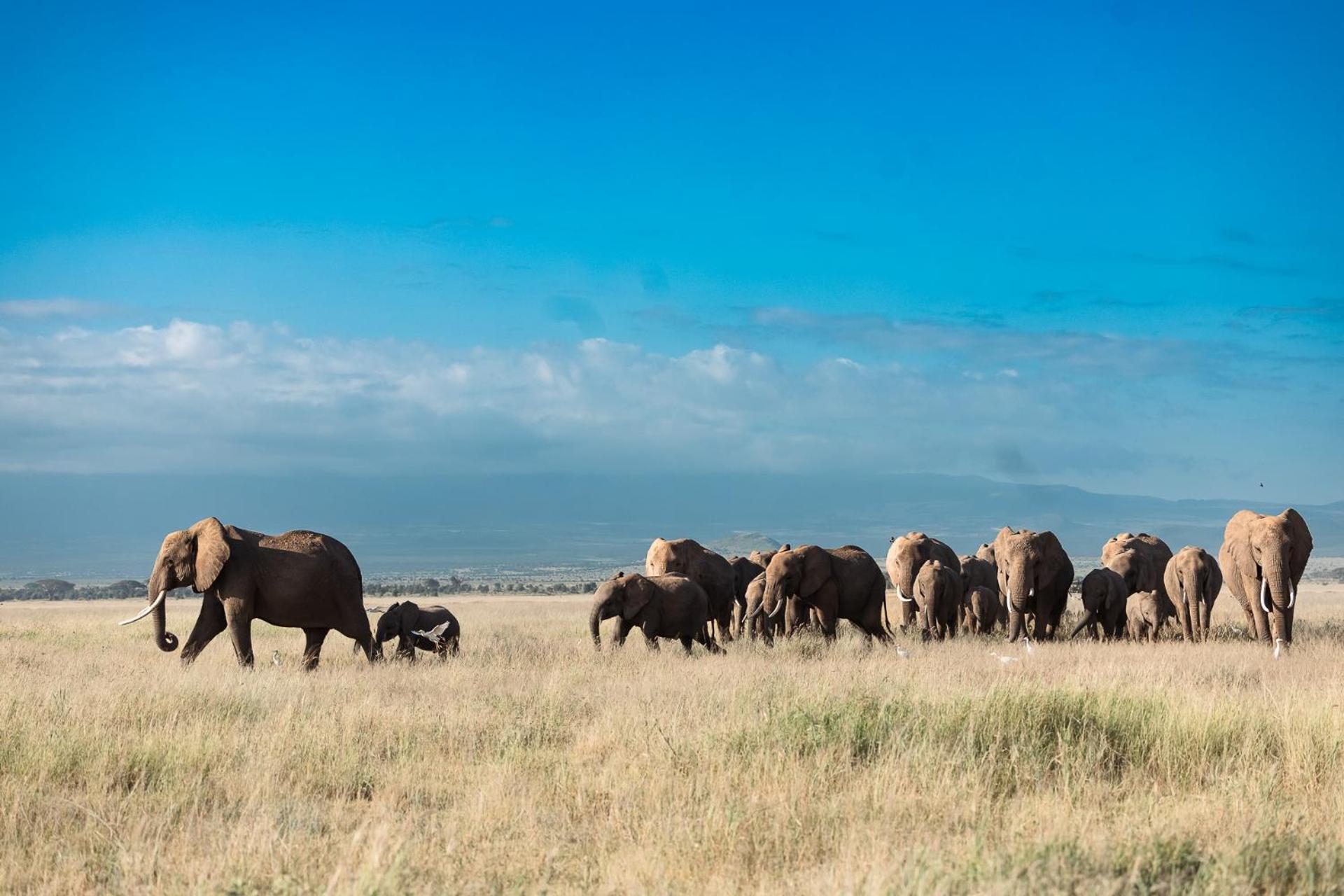 Amboseli Glass House Oloitokitok Экстерьер фото