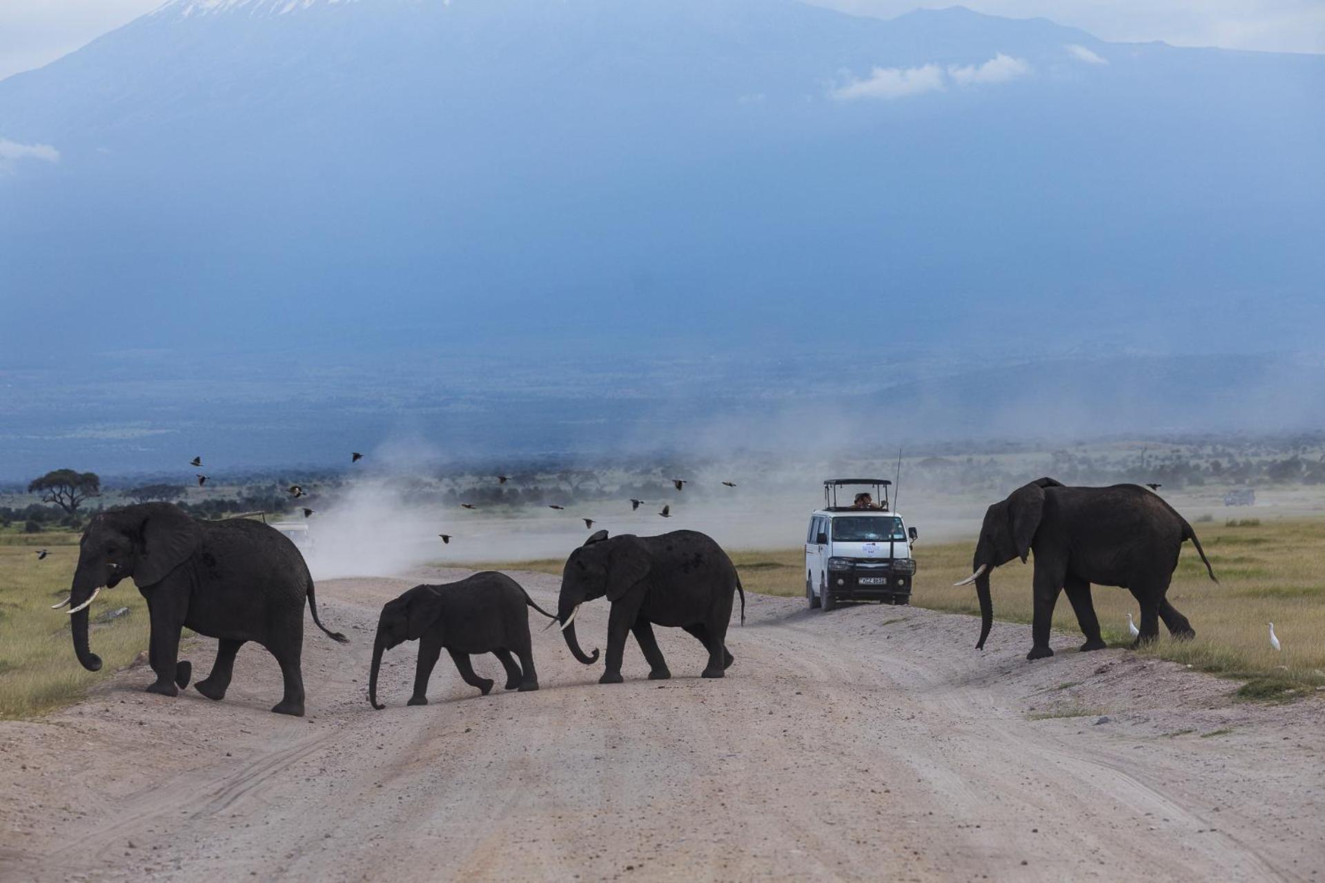 Amboseli Glass House Oloitokitok Экстерьер фото
